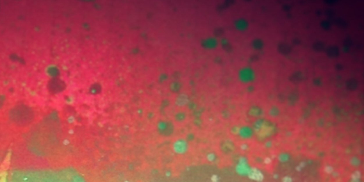 Craneium_ATL's profile banner image