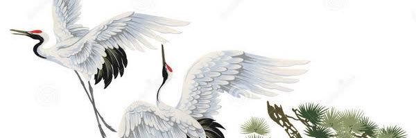 hideodayada's profile banner image