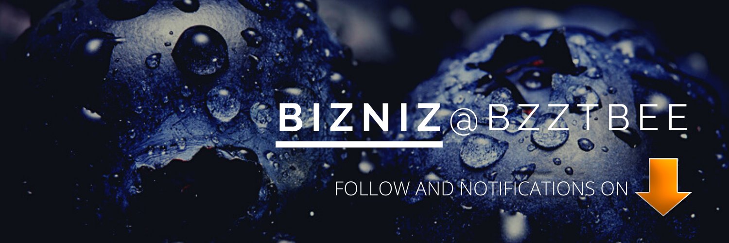 BizNiz banner