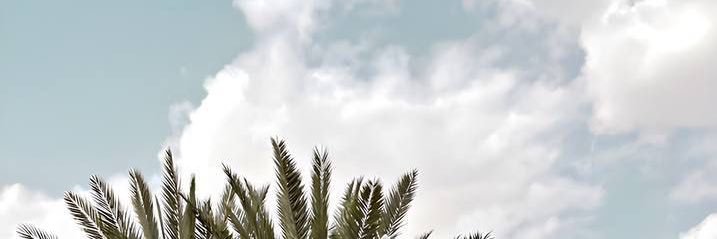 99bdoor1's profile banner image