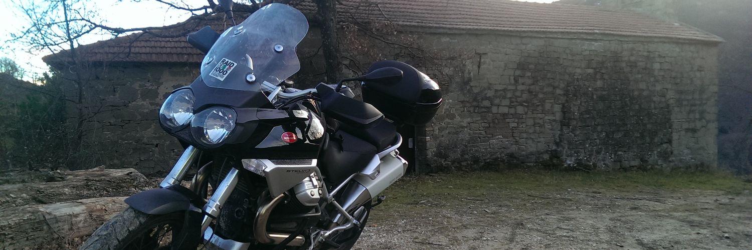 Camillo D'Angelo banner