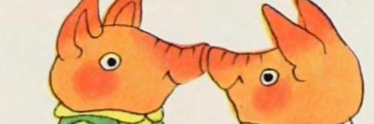 #stopcopcity 🇵🇸 banner