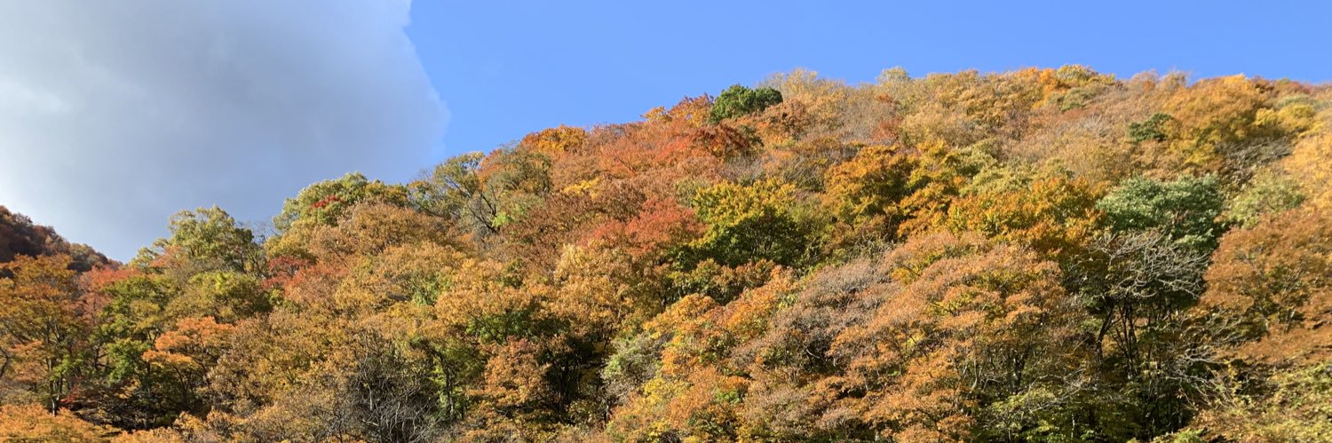 TRD1134's profile banner image