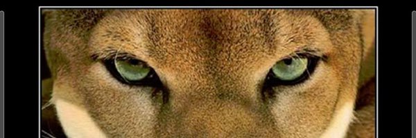 ap_baker1 Profile Banner
