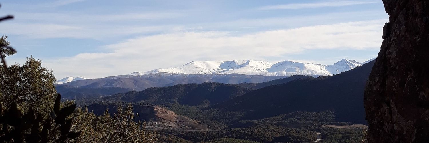Arturo banner