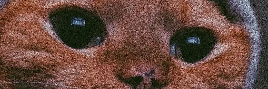 BuBipolar's profile banner image