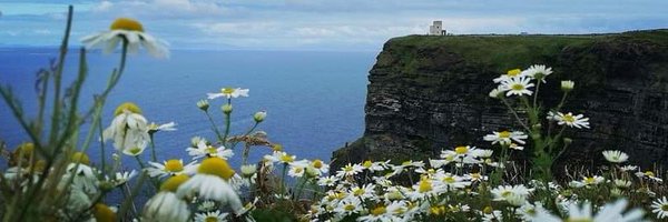 SamOSullivan_ Profile Banner