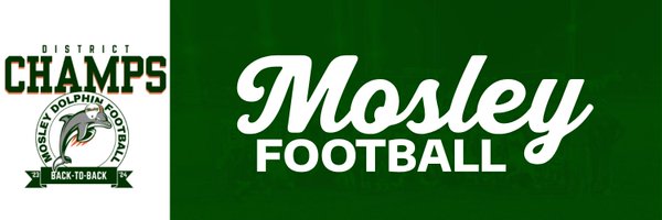 MosleyDolphinFB Profile Banner