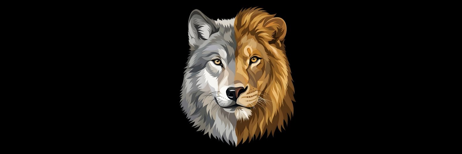 AngelRochaP's profile banner image