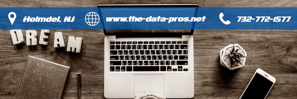 Data Pros banner