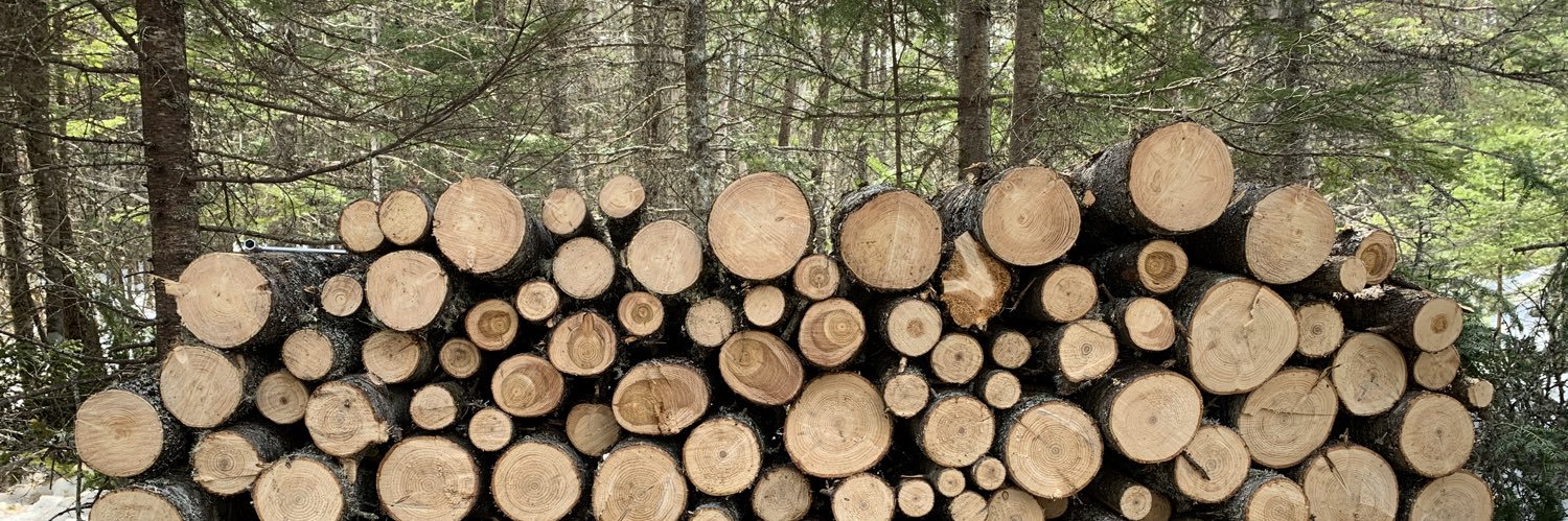 Victoria Lanoë banner