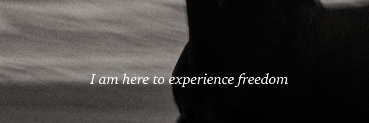 sincron1c's profile banner image