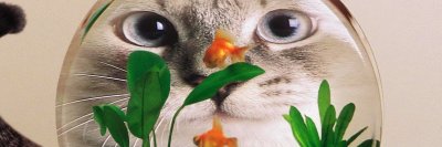 vincent33858224's profile banner image