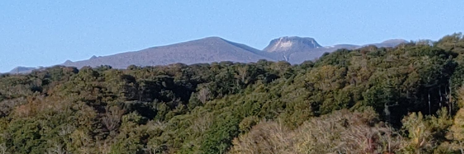 くまちん（弁護士中村元弥）'s banner