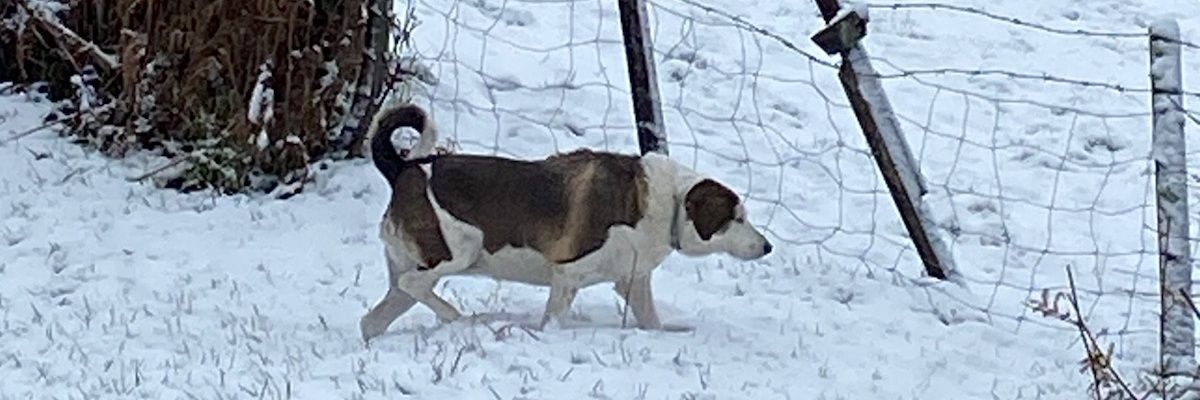 BrevotJ's profile banner image