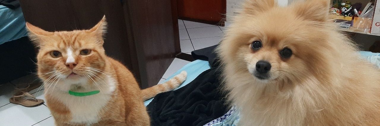 flopes97's profile banner image