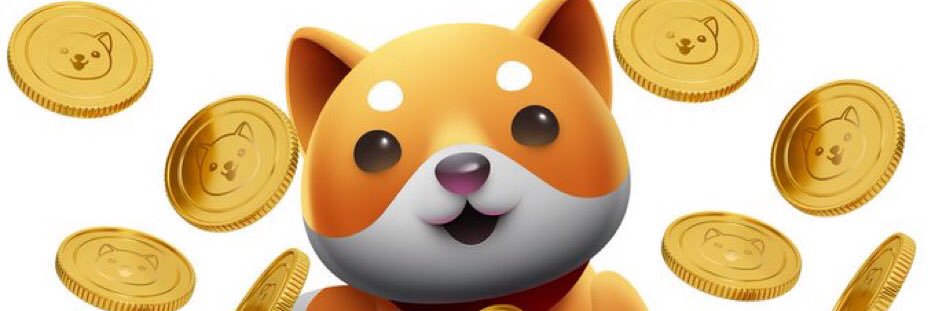 BabyDogeFan banner