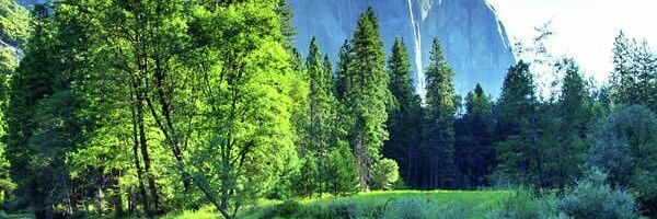 joanll96's profile banner image