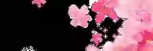 帝一 banner