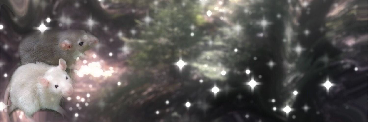 meg_thh's profile banner image