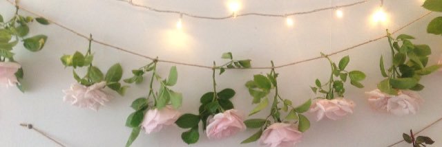 HaileyNemo's profile banner image