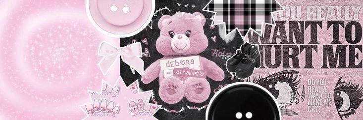 Jin Chile 🇨🇱🐹 banner