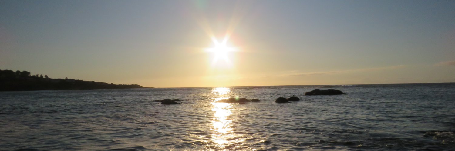 Quinteroaldia's profile banner image