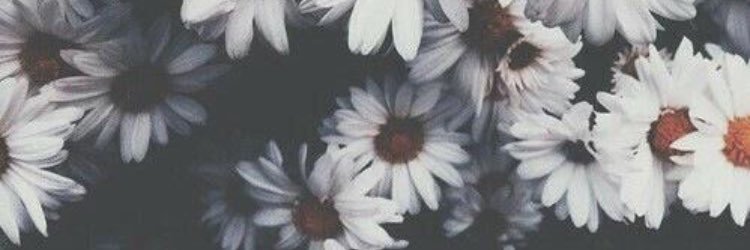 Katherine_k5's profile banner image