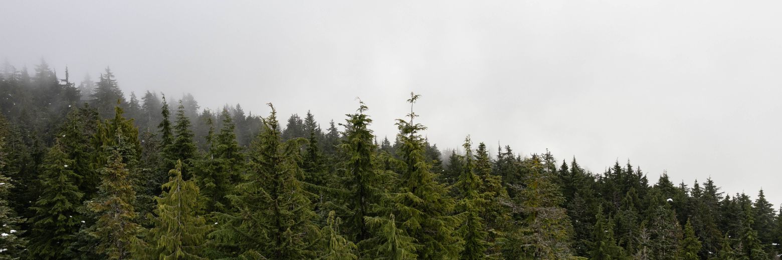 bolducdesign's profile banner image