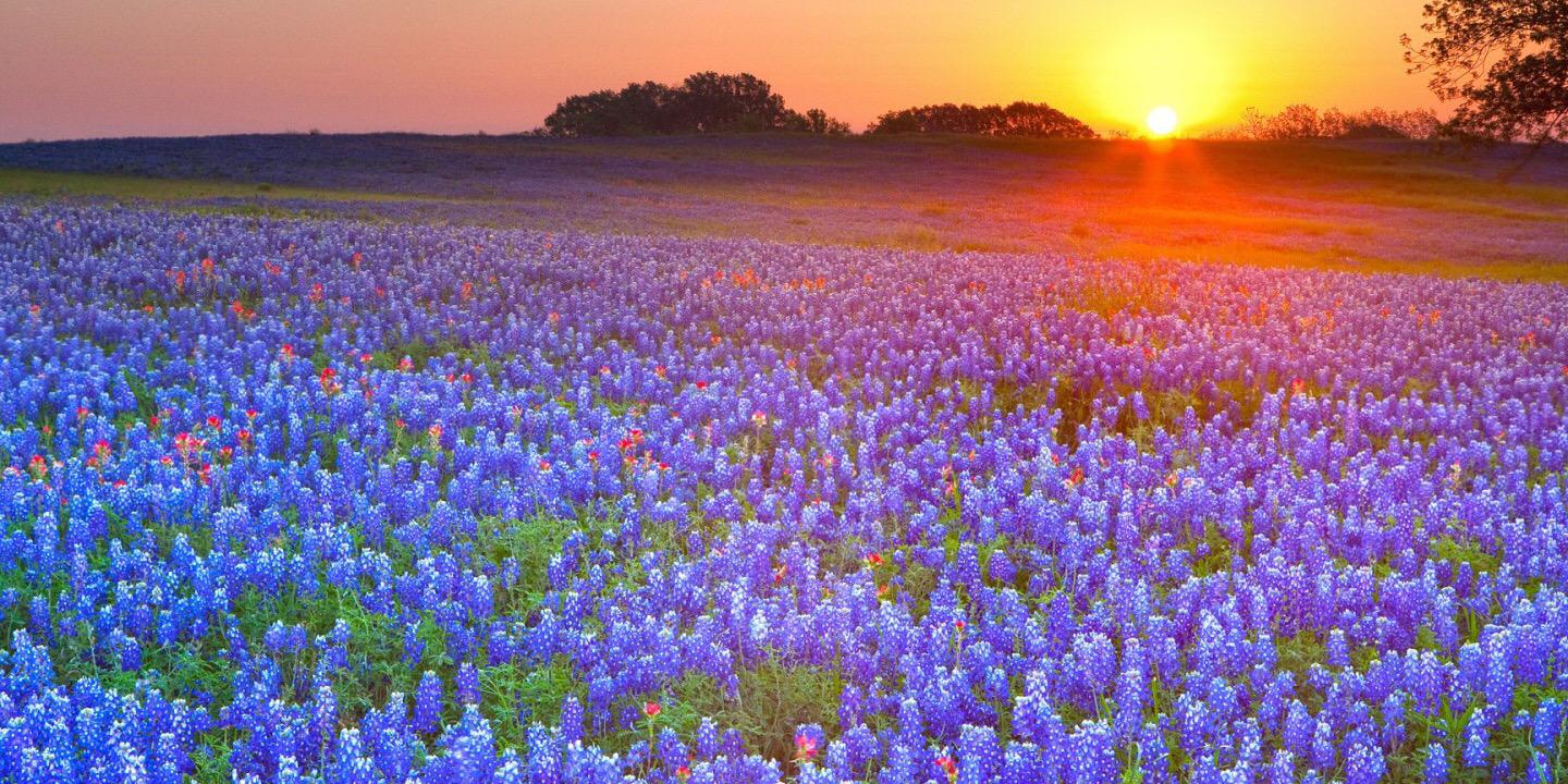 Samantha Cast banner