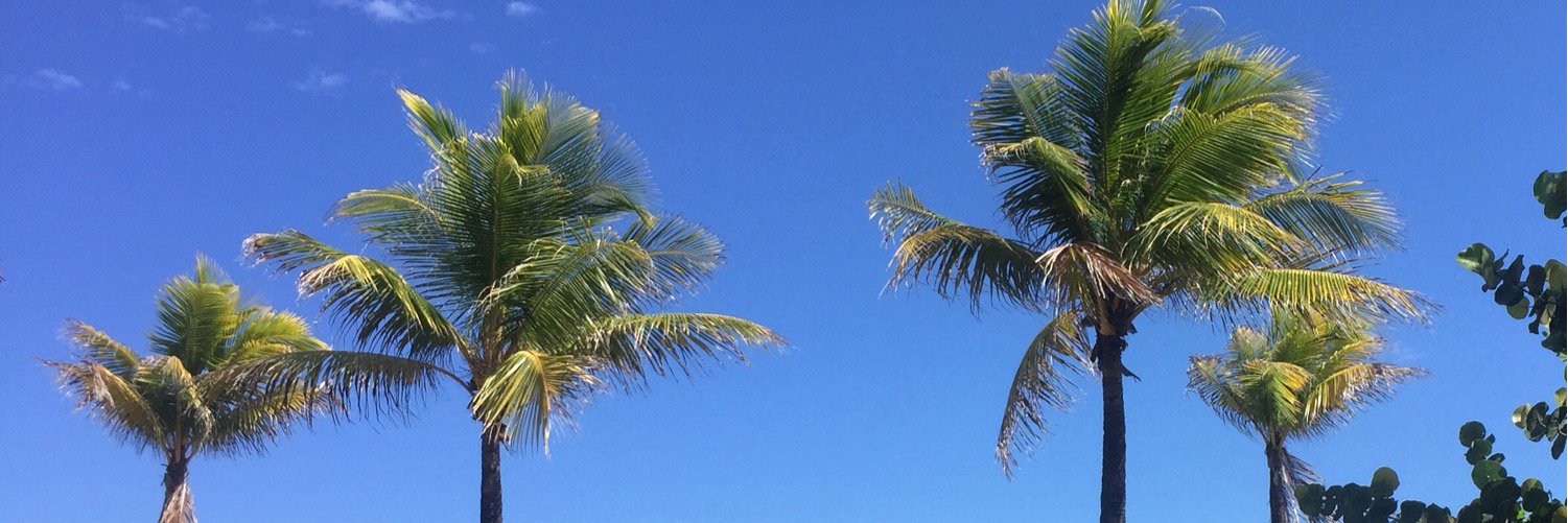 MikennaPriorxo's profile banner image