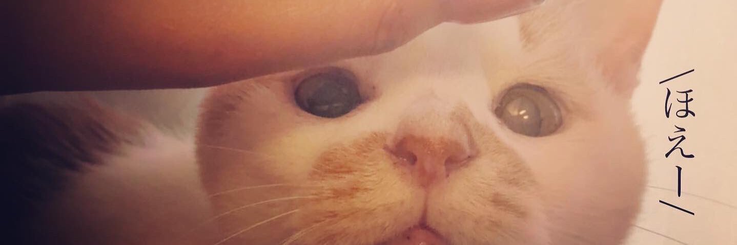 小野さゆり⭐️ONONO🧶🐈 banner