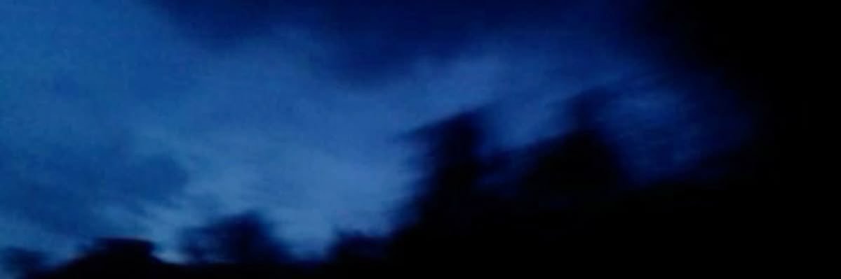 dallanmm's profile banner image
