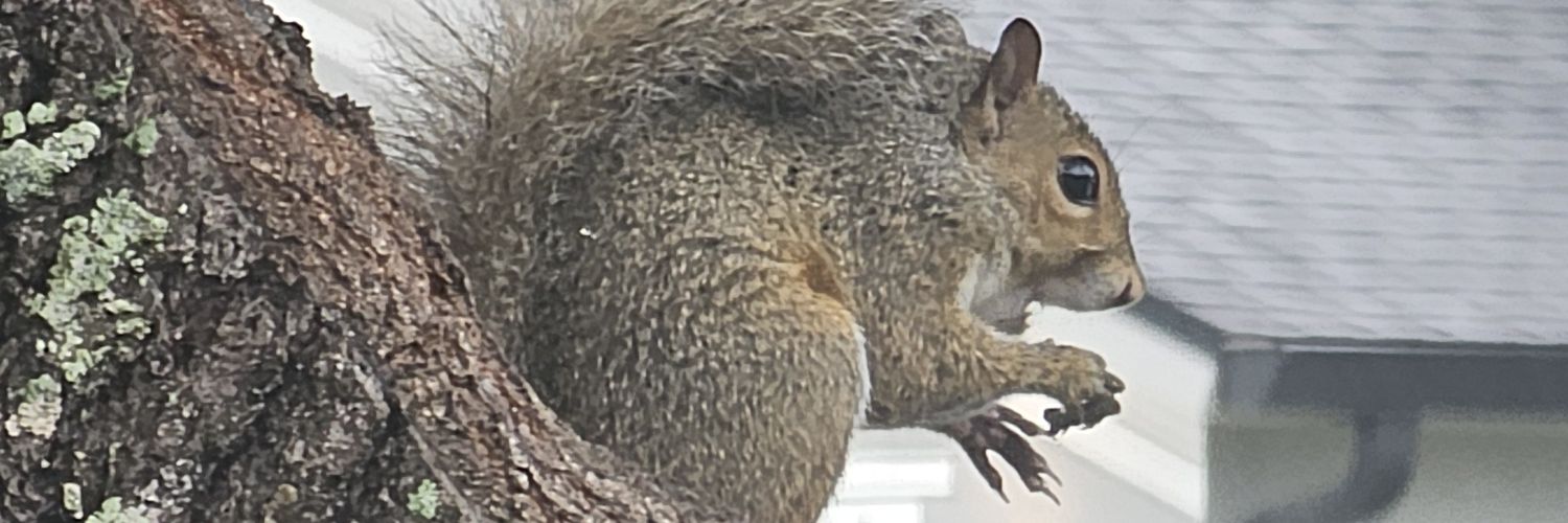 oscaryesoscar's profile banner image
