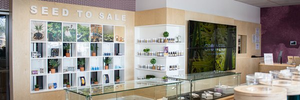 givingtreeaz Profile Banner