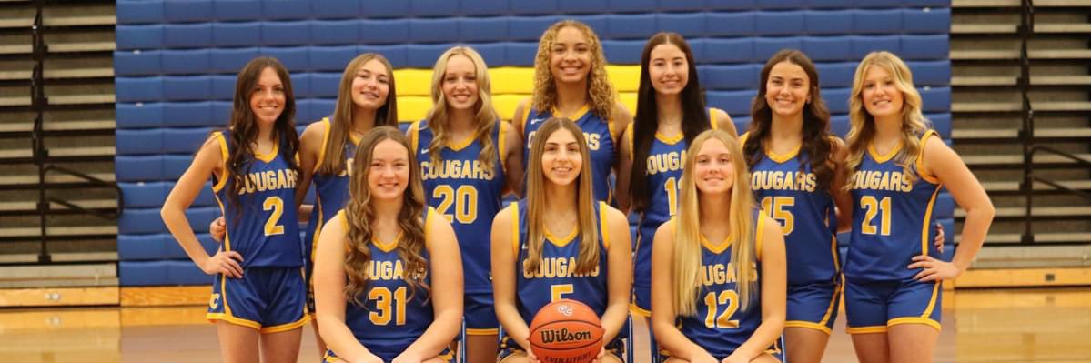 Madison Sonsini banner