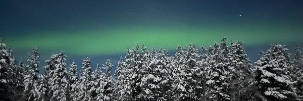 feresbrenda Profile Banner