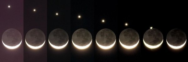loonarpix Profile Banner