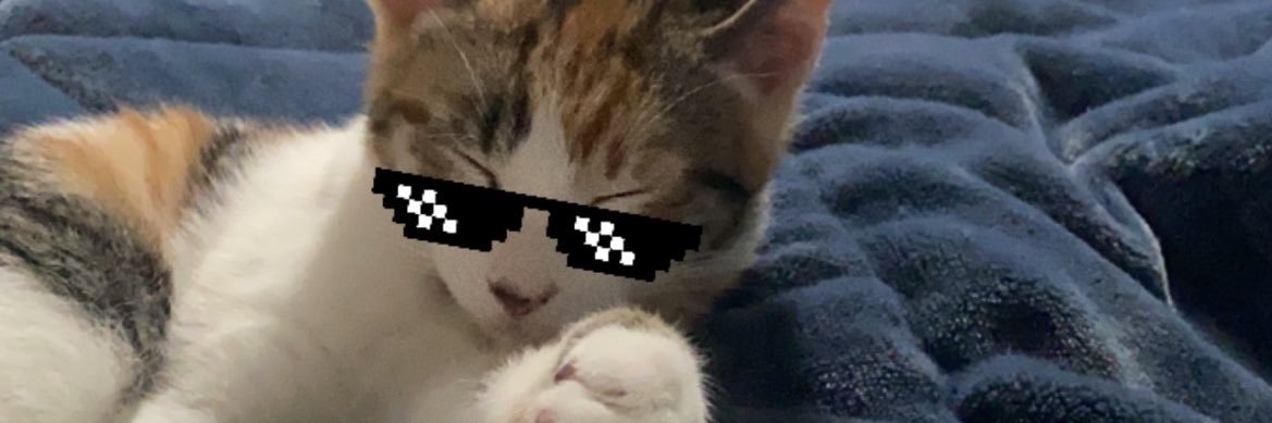 kaileighcloud's profile banner image