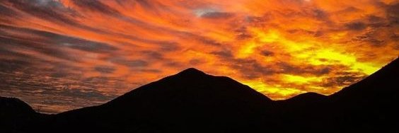 Alex Lenero banner