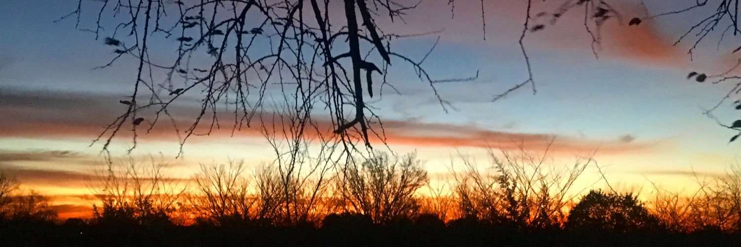 DeerHunterFan's profile banner image