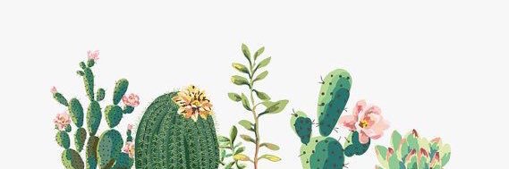 ayebrynn's profile banner image