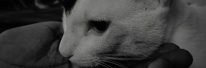 bewithme_31's profile banner image