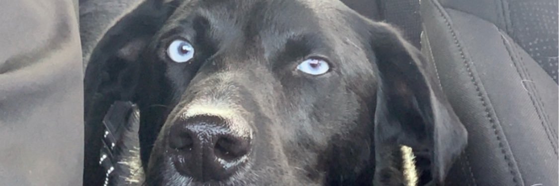 AlonsoVelarde97's profile banner image