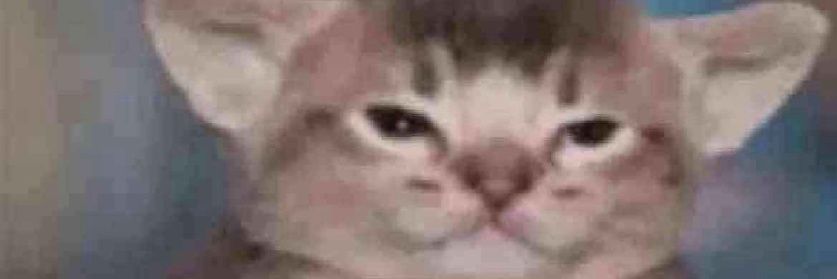 Astro the cat banner