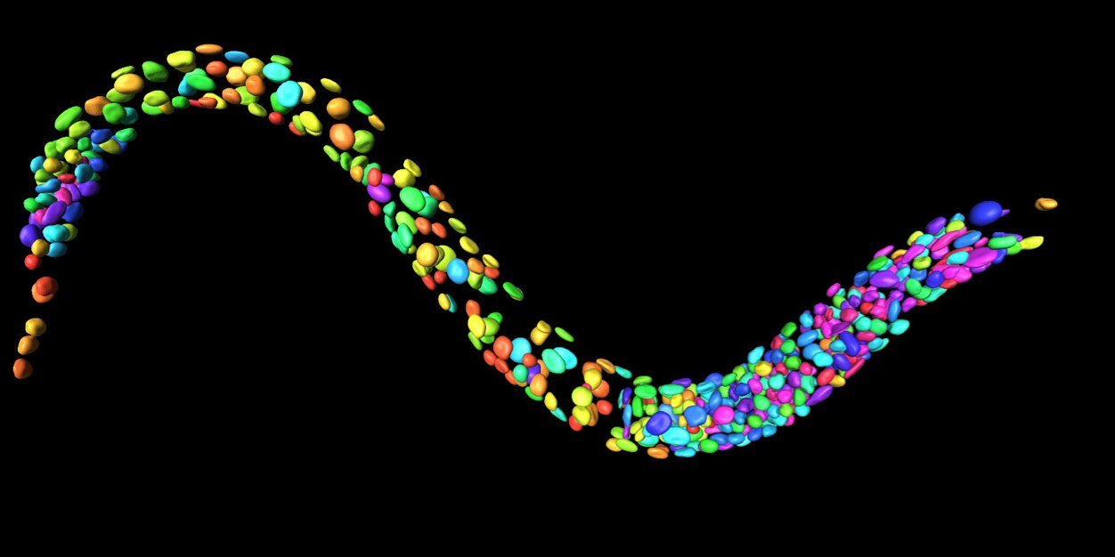 TransgeneOme's profile banner image