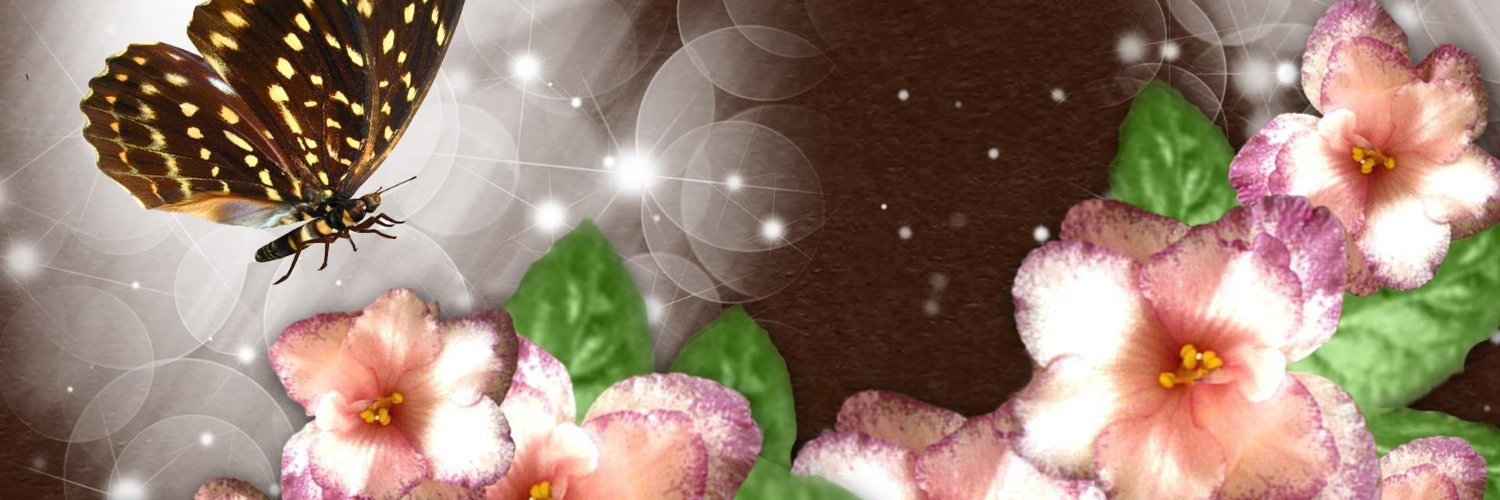 LisaTur03457904's profile banner image