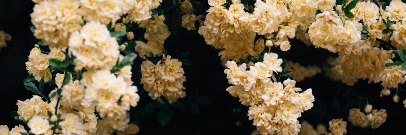 Astroぢぇいむず banner