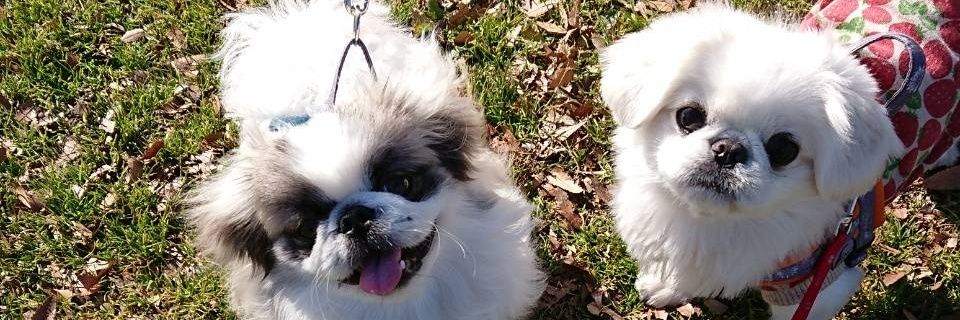 twd_ye's profile banner image