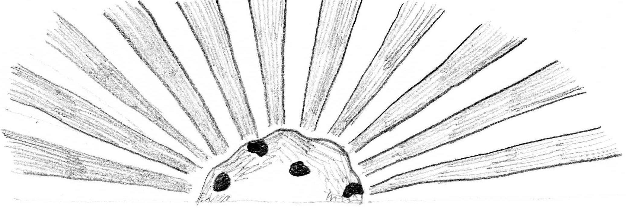 CookiesbyDave's profile banner image